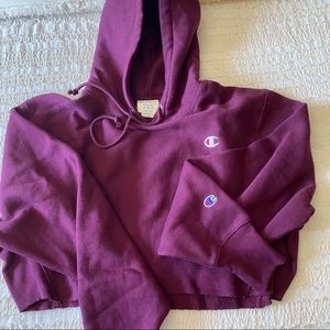 Champion reverse weave cropped hoodie